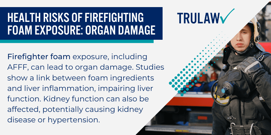 Health Risks of Firefighting Foam Exposure organ damage
