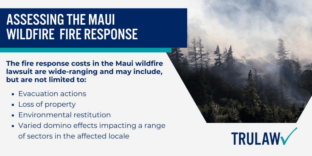 Assessing the Maui Wildfire Lawsuit Fire Response Costs