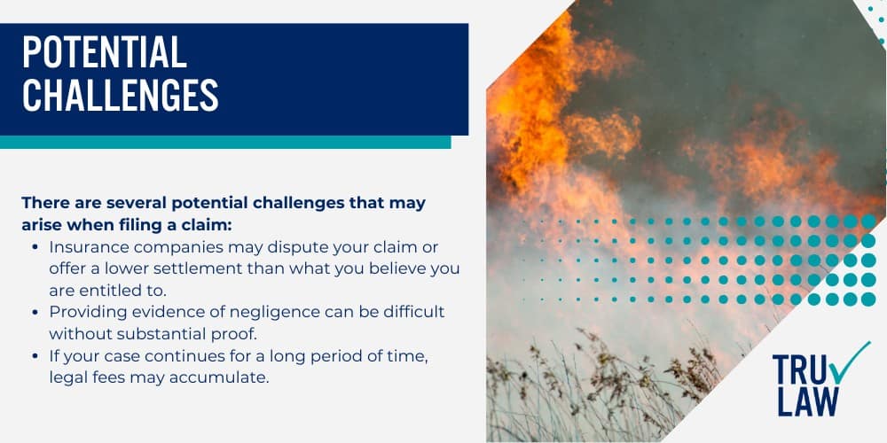 Implication of Hawaiian Electric Co.; Establishing Your Claim; Potential Challenges