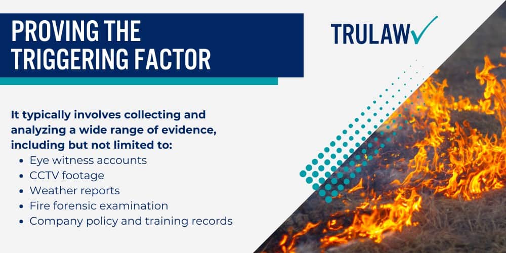 Chronology of the Maui Fires; The Triggering Factor of the Maui Fires; Act of God Vs. Human Negligence; Proving the Triggering Factor