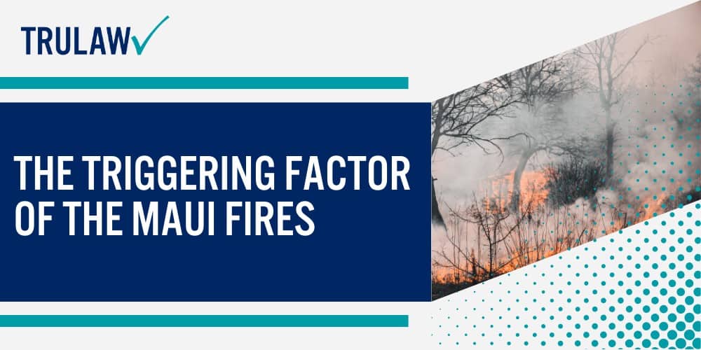 Chronology of the Maui Fires; The Triggering Factor of the Maui Fires