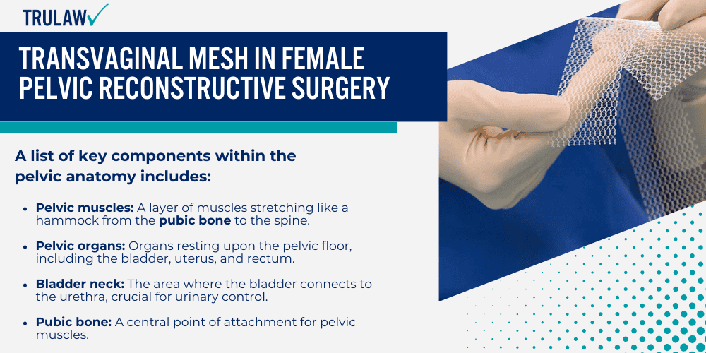 Transvaginal Mesh in Female Pelvic Reconstructive Surgery