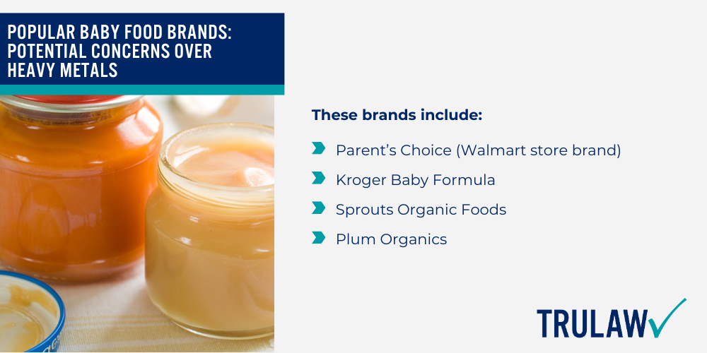 Intro to the Toxic Baby Food Lawsuit; Kanner’s Syndrome Concerns About Toxic Baby Food; Childhood Development_ Pervasive Developmental Disorder; Popular Baby Food Brands_ Potential Concerns Over Heavy Metals