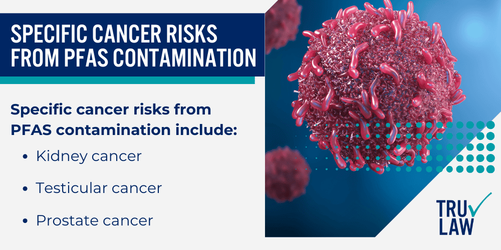 PFAS Exposure and Increased Cancer Risk; Military Sites Reported With PFAS Contamination; Studies on PFAS Exposure and Cancer Risks; Health Effects of PFAS on Military Personnel; Common Health Issues Linked to PFAS Exposure; Specific Cancer Risks from PFAS Contamination