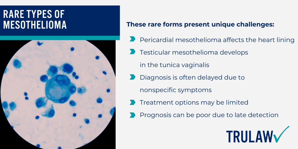 Common Symptoms of Mesothelioma; Diagnosing Mesothelioma; Pleural Mesothelioma; Peritoneal Mesothelioma; Rare Types of Mesothelioma