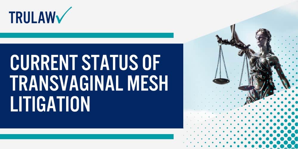How Can A Transvaginal Mesh Attorney from TruLaw Help You; How much does it cost to hire a Transvaginal Mesh lawyer from TruLaw; Overview of the Transvaginal Mesh Litigation; Current Status of Transvaginal Mesh Litigation